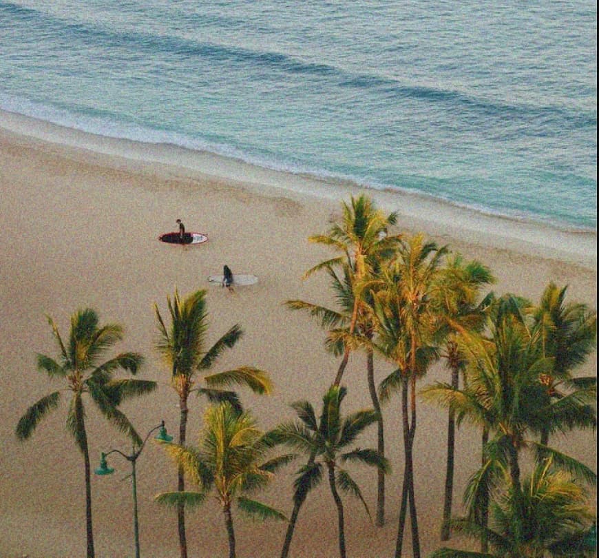 Daybreak Coastal — image 2